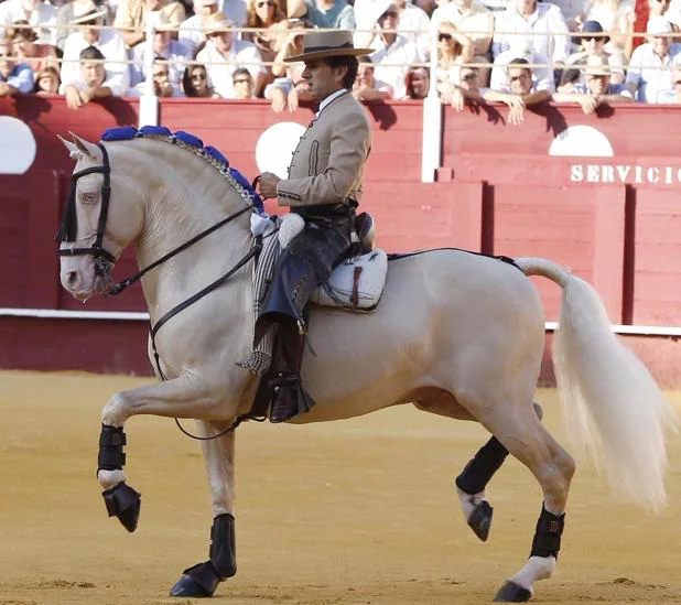 Muere 'Remate', caballo clave en la histórica tarde en que Diego Ventura cortó un rabo en Las Ventas