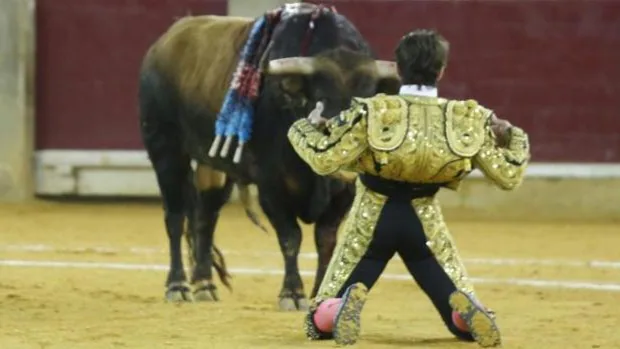 La empresa de la plaza de toros de Zaragoza tira la toalla ante el silencio de la Diputación: adiós a la Feria del Pilar