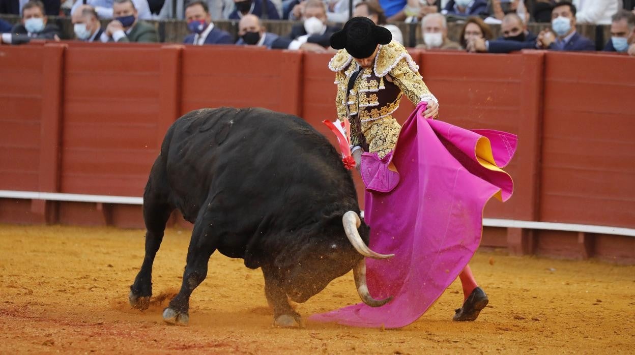 Juan Ortega cuajó el mejor toreo a la verónica que se ha realizado en la Maestranza en el siglo XXI