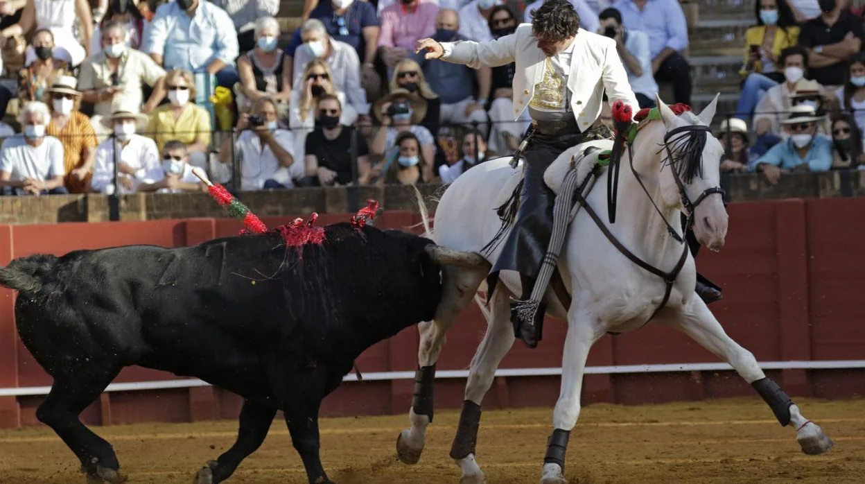 El toro infirió una cornada en el bajo vientre del caballo 'Máximo'