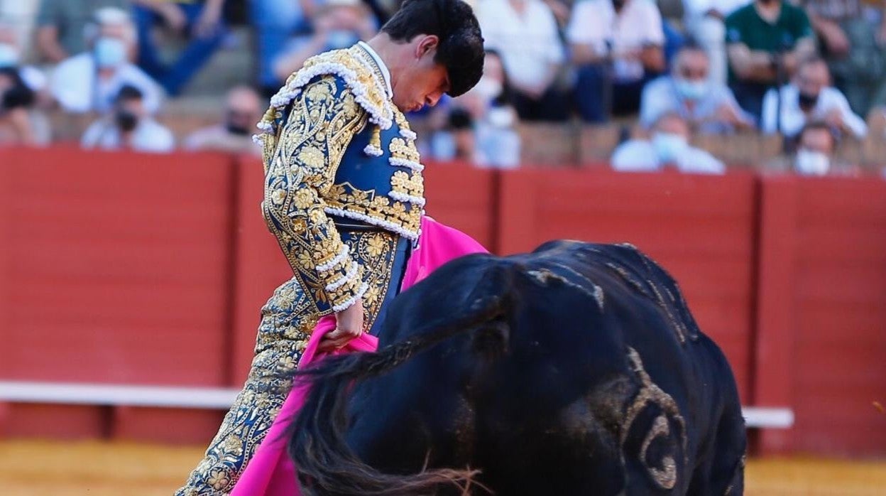 Solo el recital a la verónica de Daniel Luque en Sevilla