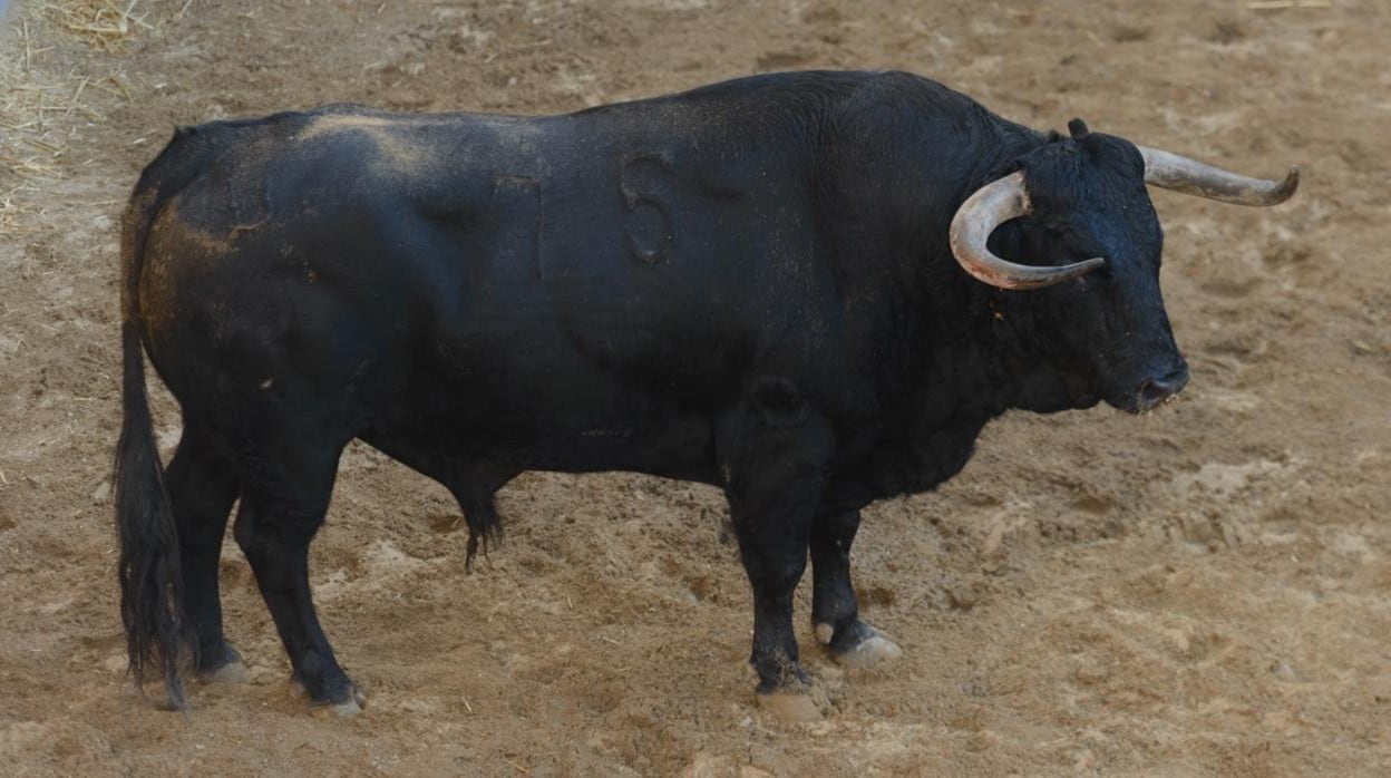 El toro número 75, de nombre medallista, y con el hierro de Domingo Hernández, abrirá la tarde