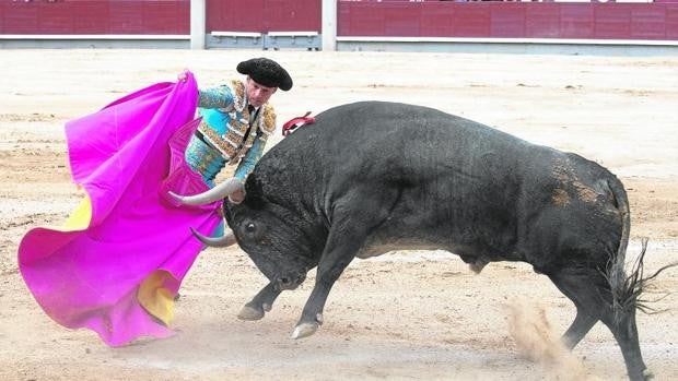 Antonio Ferrera, en el laberinto de los regalos