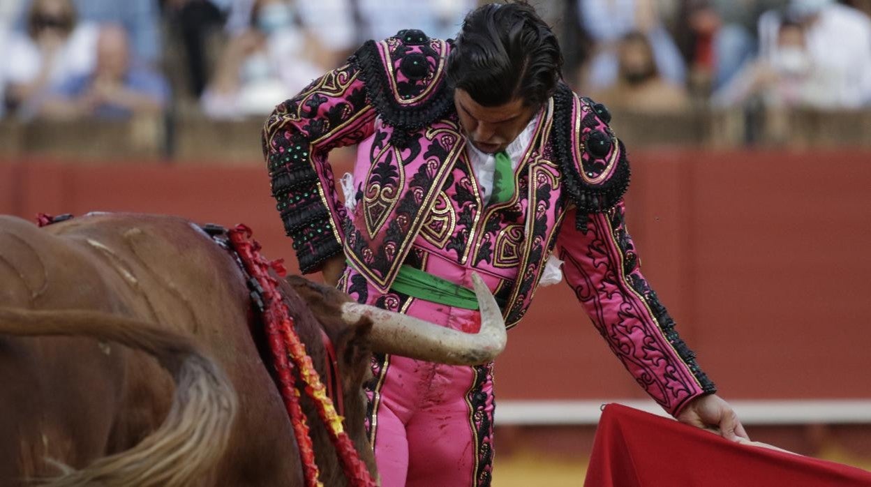 M0rante de la Puebla, ante el toro 'Jarcio' de Juan Pedro Domecq, el pasado 1 de octubre