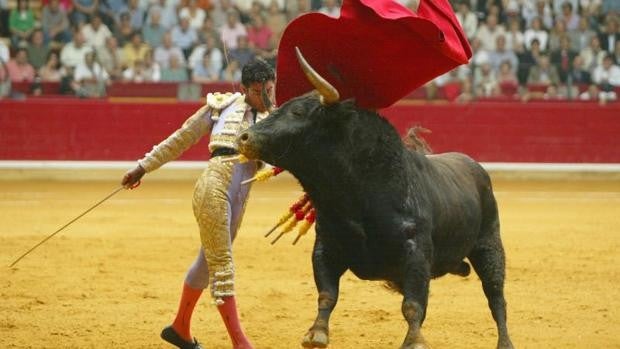 Copa Chenel: Paulita, valor y hondura tras una escalofriante cogida