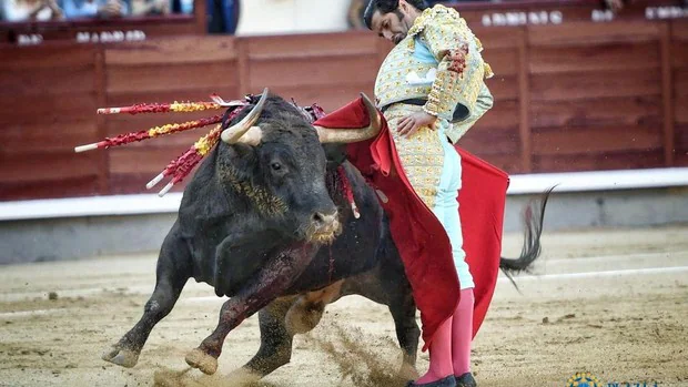 Así contamos el torero regreso a Madrid de Morante, con Puerta Grande de Ginés Marín