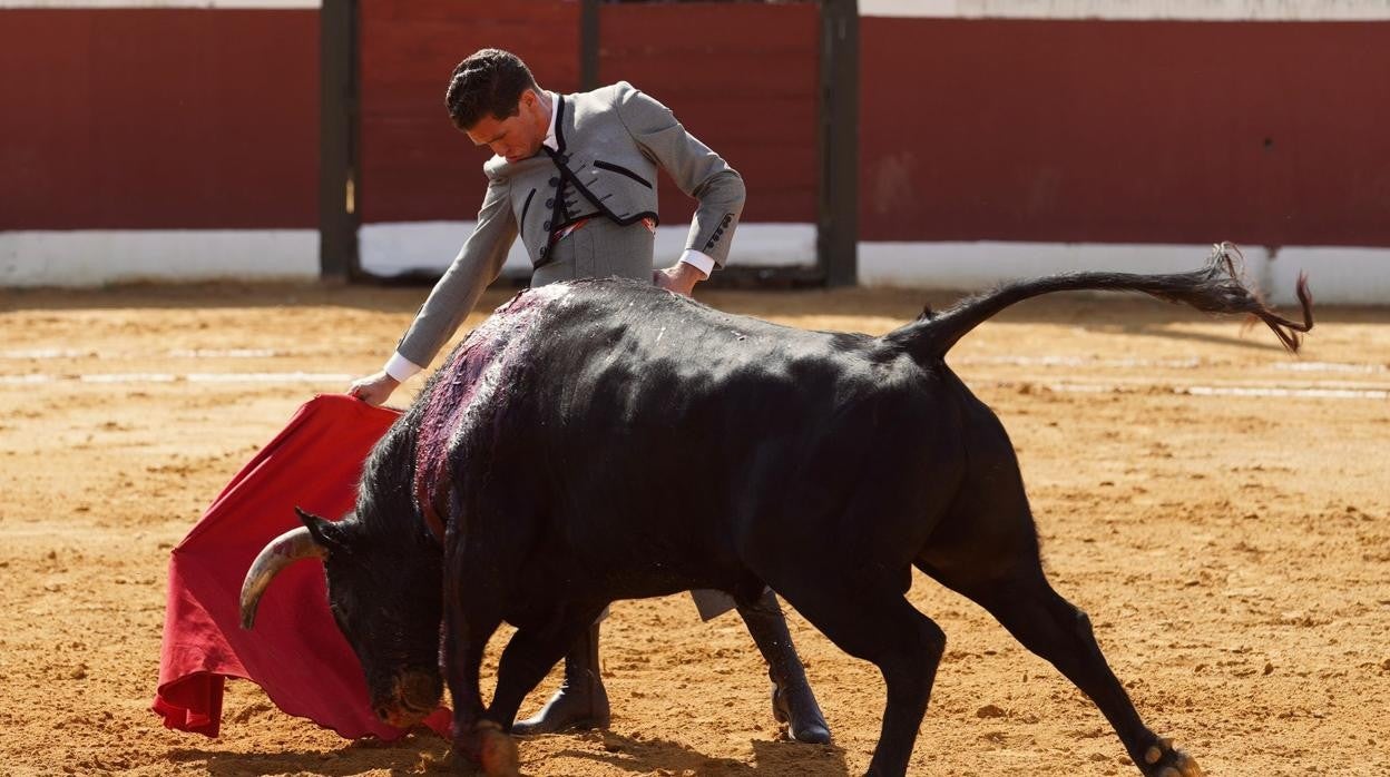 Ginés Marín ha sido el triunfador del festival celebrado este domingo en Cantillana