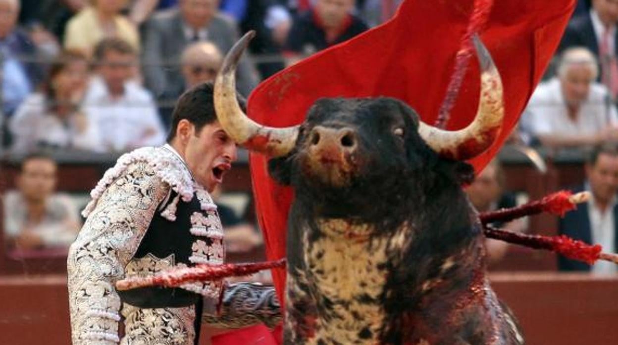 Alejandro Talavante, en Las Ventas