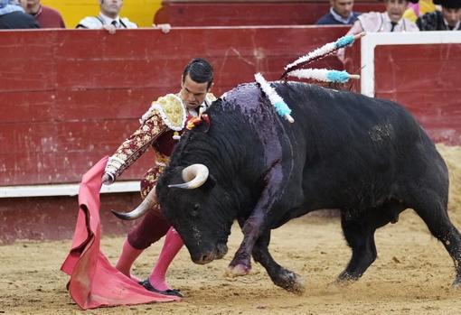 Manzanares, en el segundo de su lote