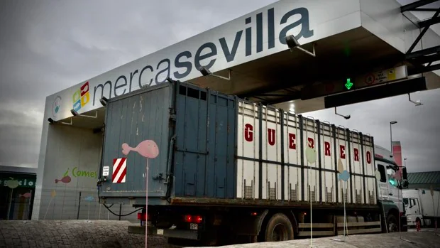 El paro de transportistas obliga a suspender festejos taurinos de este fin de semana en Andalucía