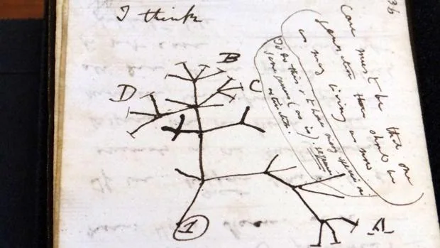 El misterioso regreso de dos valiosos cuadernos de Darwin a Cambridge tras desaparecer durante 20 años