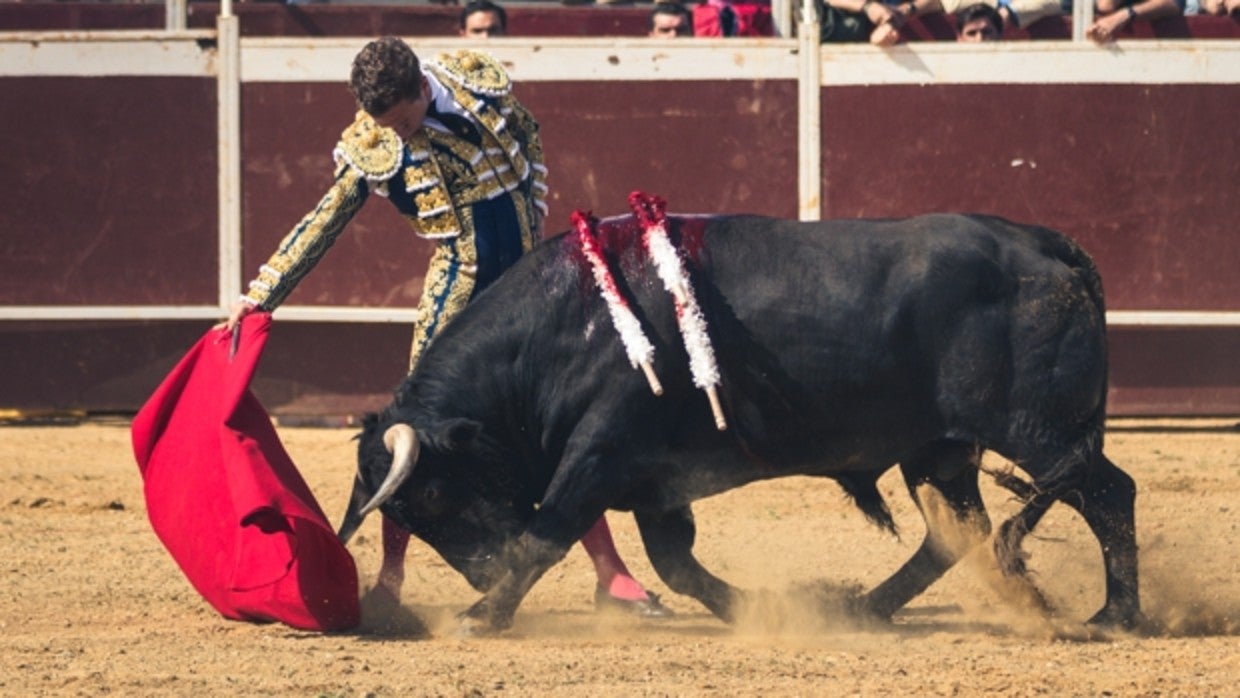 El novillero de Aznalcóllar Juan Pedro García 'Calerito'