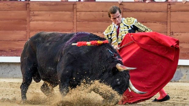 San Isidro: la casta brava del Pilar