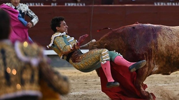 Oreja al valor de Leo Valadez