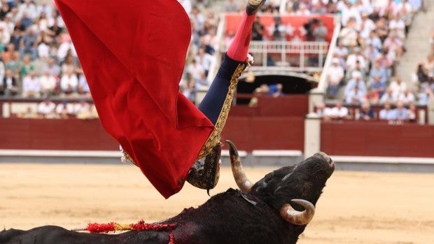 Cornada a Rafael González en el toro de su alternativa