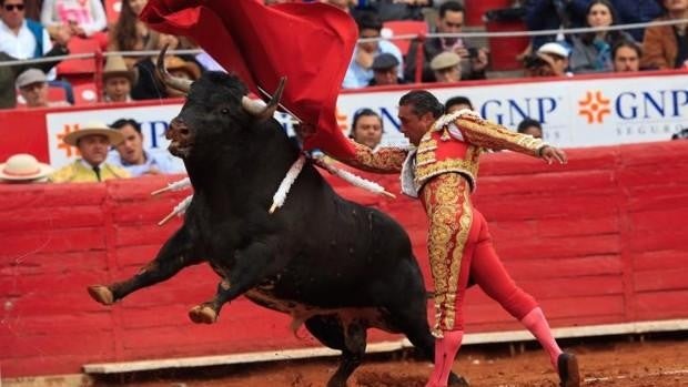 La Plaza de México, la más grande del mundo, se queda sin toros tras la suspensión de un juez