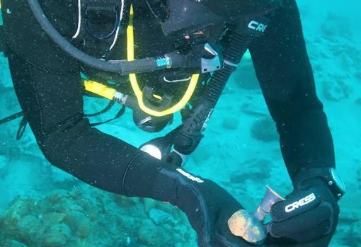 Un arqueólogo con restos de una jarrita