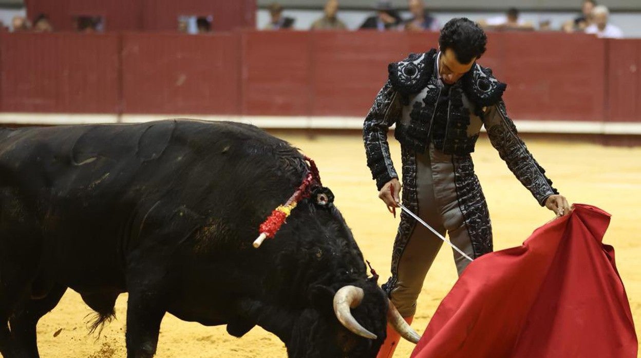 Morenito de Aranda, en el Plantío
