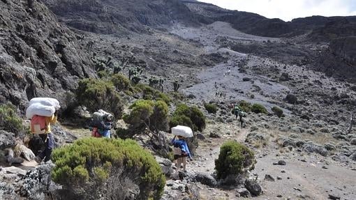 Hilera de porteadores en el Kilimanjaro