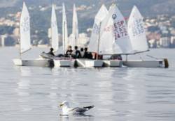 Un Trofeo Ciudad de Palma sin regatas