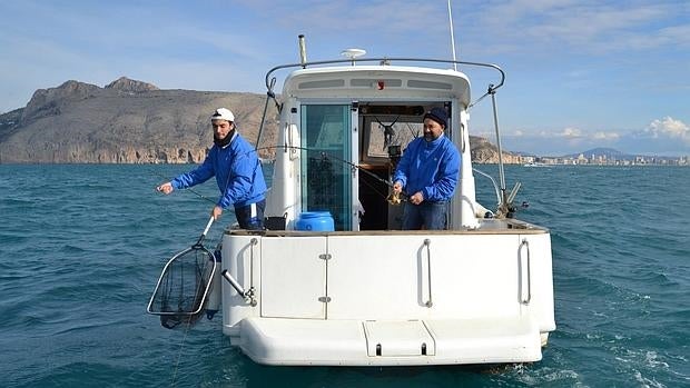 Altea retoma el Concurso de Pesca al Chambel