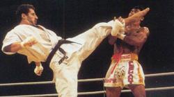 Andy Hug golpea a un rival