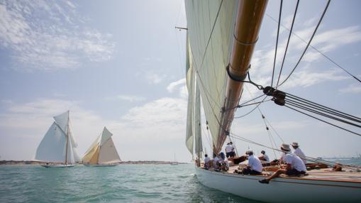 &quot;Mariska&quot; y &quot;Giraldilla&quot;, ganadores en Cádiz