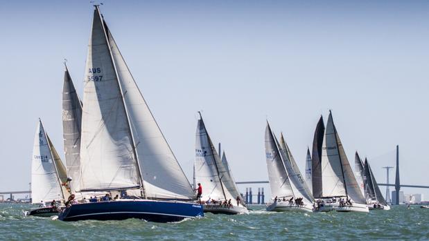 Buen viento een la bahía