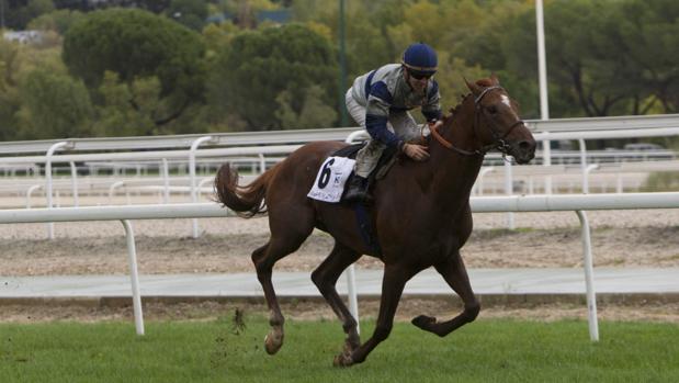 Again Charlie ganando el Gran Premio Memorial Duque de Toledo