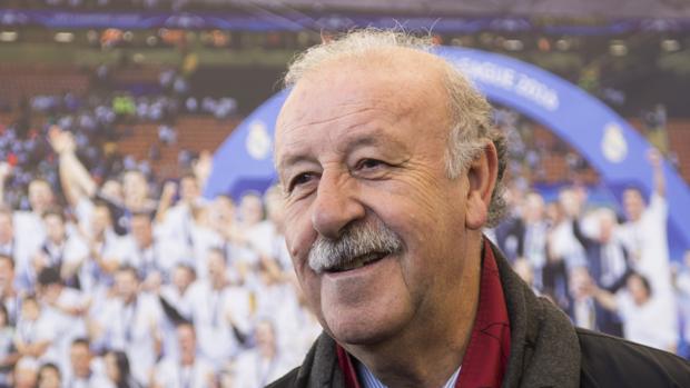 Del Bosque: «Deberíamos haber llevado a Vitolo a la Eurocopa»