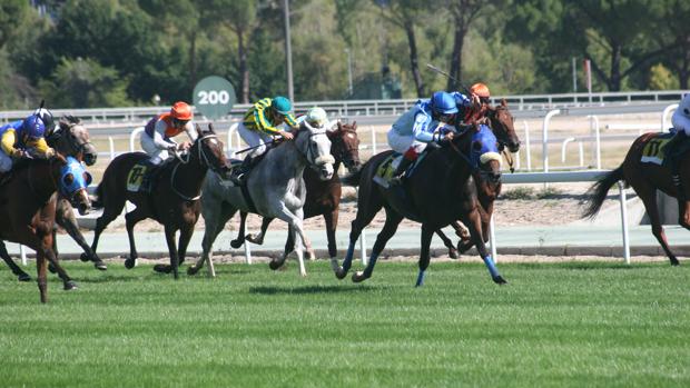 Sigue en directo la jornada en el Hipódromo de La Zarzuela