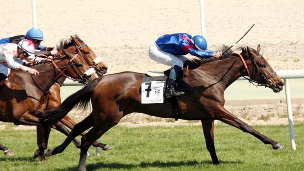 Honeymoon Trip gana un deslucido Valderas en una jornada atípica