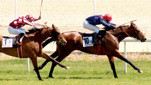 Zuberoa, ganador del Gran Premio Duque de Alburquerque