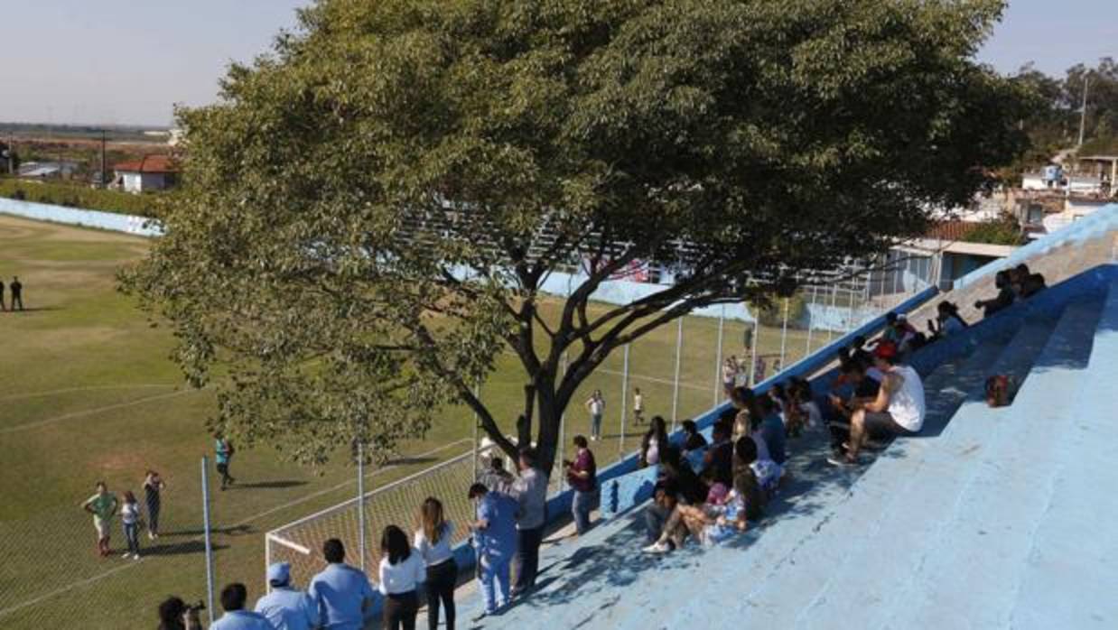 Aficionados del Resistencia junto al árbol que preside una de las gradas del estadio