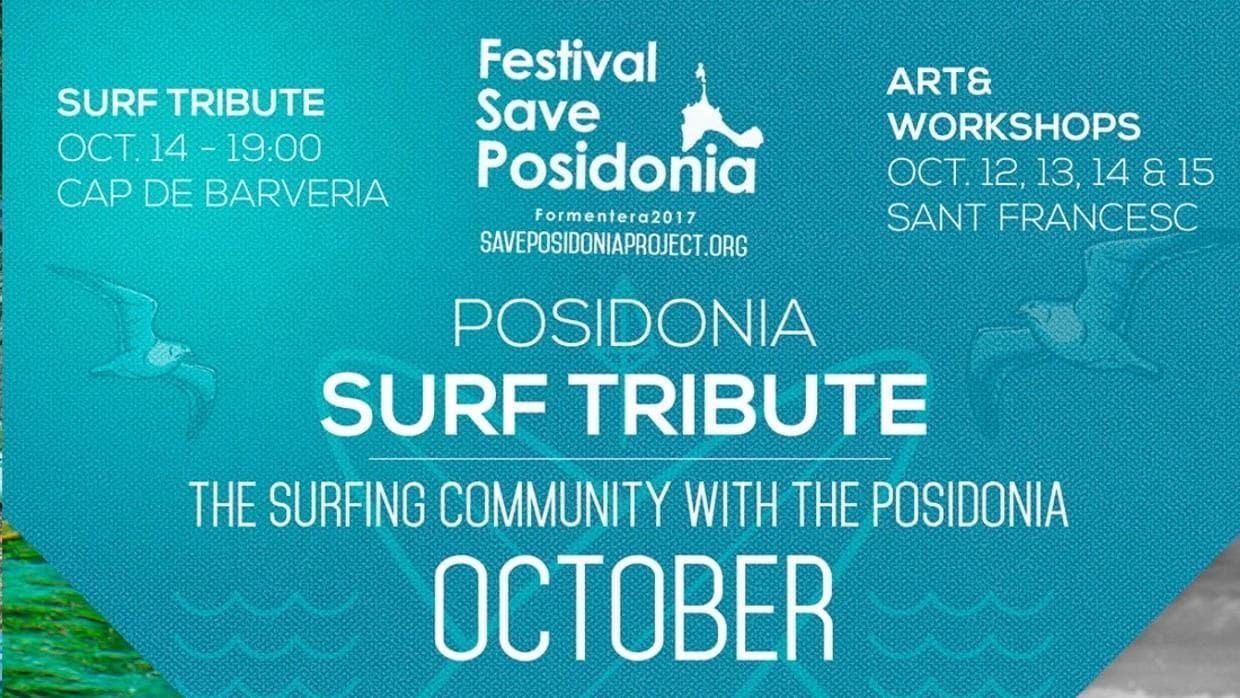 «Festival Save Posidonia», la voz de un proyecto medioambiental