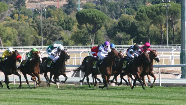 «Avenue Dargent», «Queenrose» y «Poti», favoritas del Gran Premio Ricardo Ruiz Benítez de Lugo