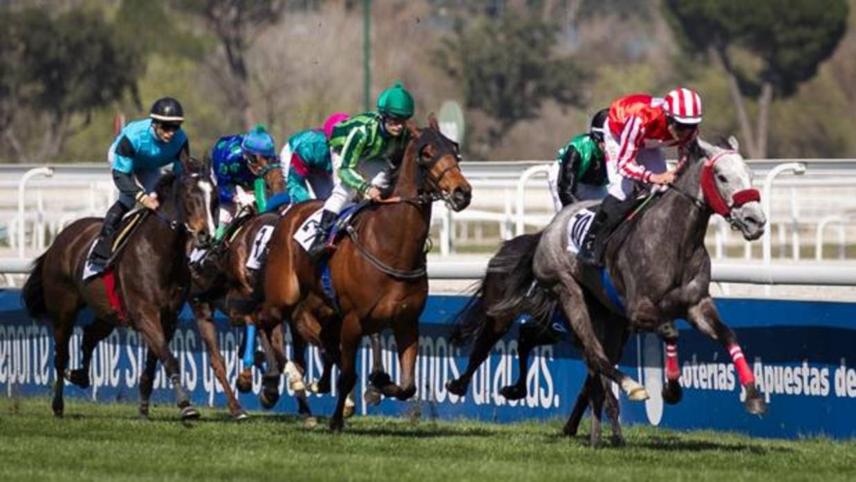 Carreras de caballos en el Hipódromo de la Zarzuela