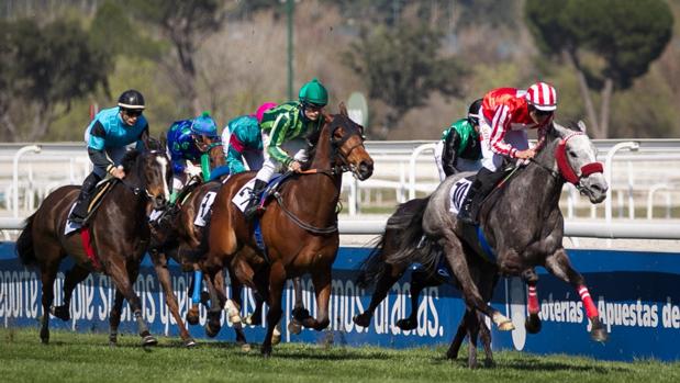 Sigue en directo la jornada en el Hipódromo de La Zarzuela