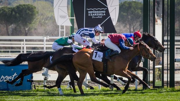 Sigue en directo la jornada en el Hipódromo de la Zarzuela