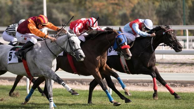 Sigue en directo la jornada en el Hipódromo de La Zarzuela