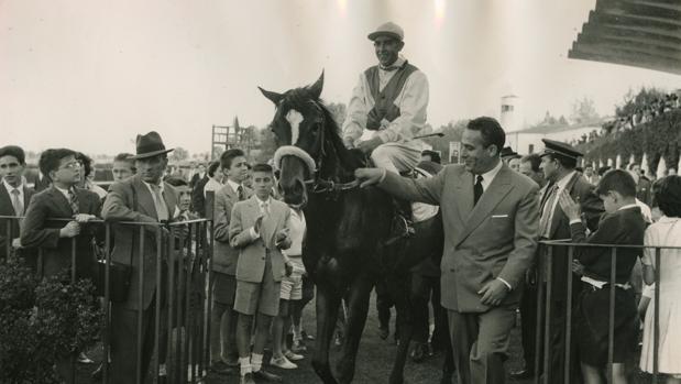 «Ascot Angel» y «Presidency», favoritos en el Gran Premio Antonio Blasco