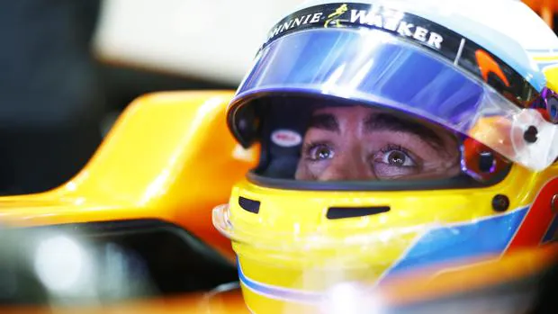 Fernando Alonso, durante un gran premio del Mundial 2017
