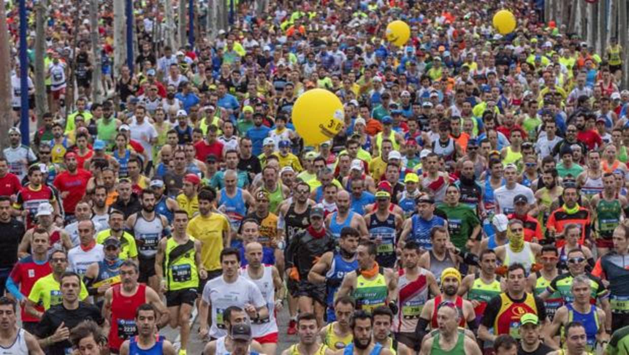 Corredores en el Zurich Maratón de Sevilla 2017