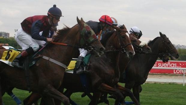 Antonella, favorito en el sprint del Premio Chamartín