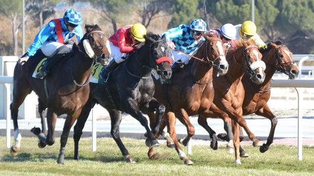 Sigue en directo la jornada en el Hipódromo de La Zarzuela