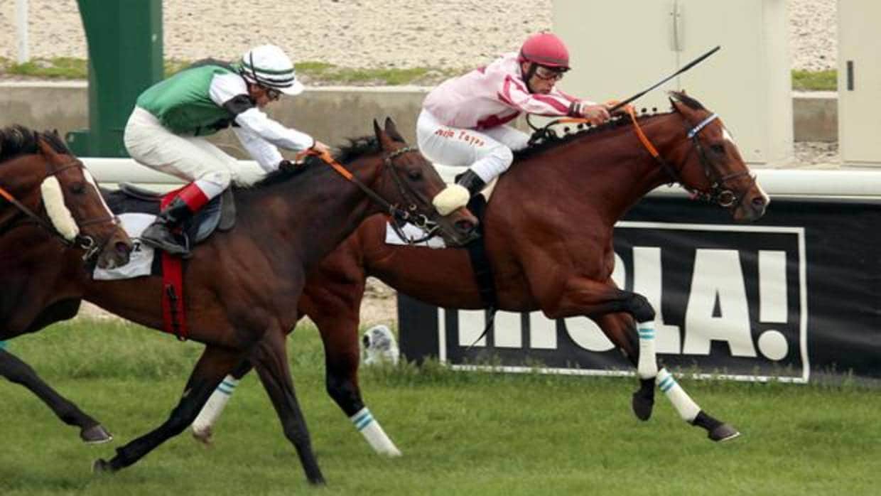 Novena jornada de carreras de caballos en el Hipódromo de la Zarzuela