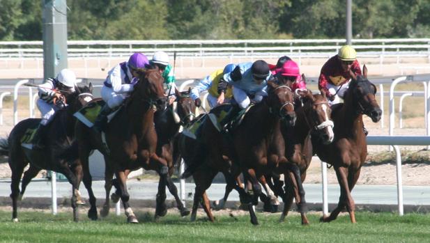 El campeón Tuvalu vuelve en el Premio Corpa