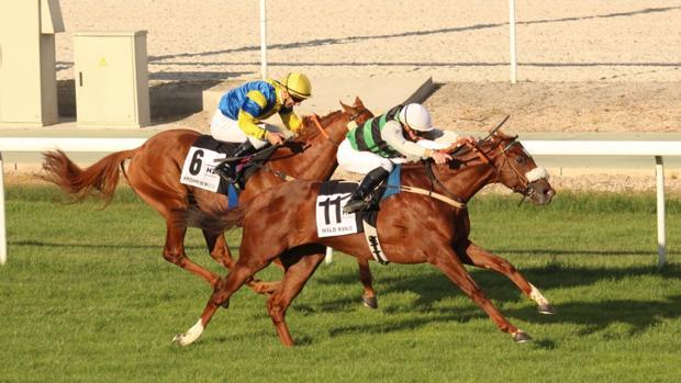 Sigue en directo la jornada en el Hipódromo de La Zarzuela