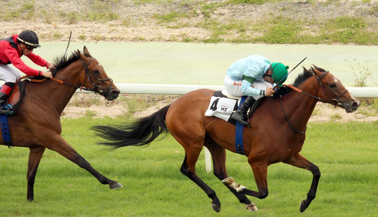 Federico, vencedor en el Gran Premio Rheffissimo