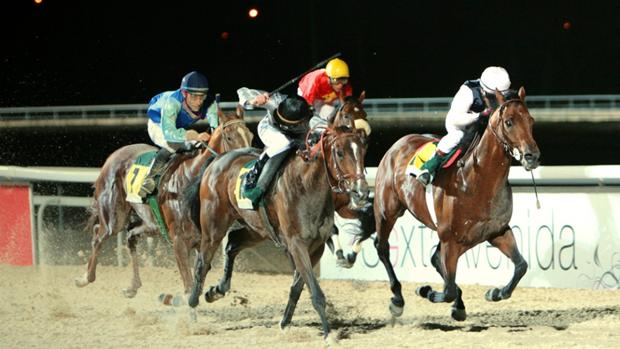 Sigue en directo las carreras nocturnas en el Hipódromo de la Zarzuela